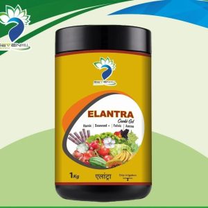 Organic Seaweed Combi Gel